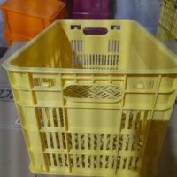 فروش و حراج سبد 20 کیلویی