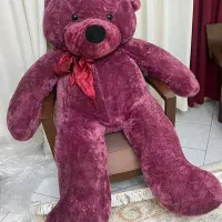 دو عدد خرس بزرگ