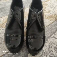 کفش نو|کیف، کفش، کمربند|شیراز, سعدیه جنوبی|دیوار