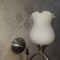 لوستر