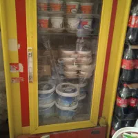 یخچال ایستاده دودرب