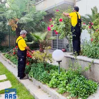 خدمات باغبانی باغچه کاری گل کاری  تمام نقاط کرج