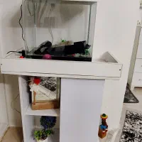 آکواریوم اکسیژنی خانگی