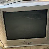 تلوزیون