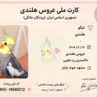 عروس هلندی نر سخنگو