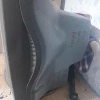 تیلویزیون