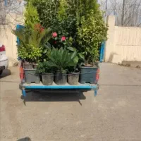 خدمات باغبانی کاشت گل فروش گل گلکار