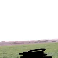 زمین-مناسب-باغچه