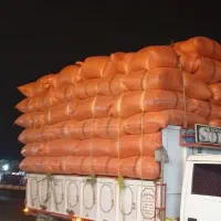 کاه