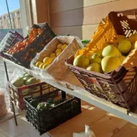 میز میوه فروشی