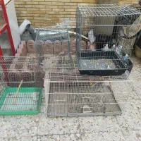 فروش چهار عدد قفس در حد نو