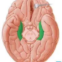 تدریس علوم متوسطه اول