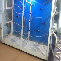 قفس پرنده