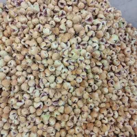 انجیر|خوردنی و آشامیدنی|رونیز, |دیوار