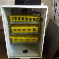 دستگاه جوجه کشی