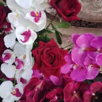 باکس گل زیبا