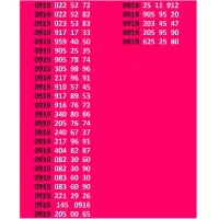 0919-205-95-90