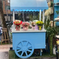 ویترین کالسکه فومیز قابل شوستشو