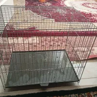 دو عدد قفس با لوازم داخل قفس