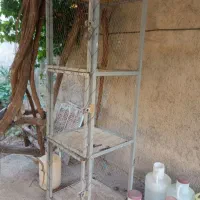 قفس مرغ وخروس کفتر