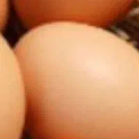 تخم مرغ محلی