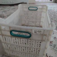 حدود 150سبد سالم  جای گوجه  فرنگی
