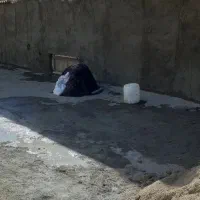 دنبال کارم