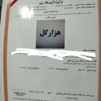 برند شوینده