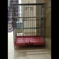 قفسه پرنده