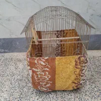قفس کاسکو وعروس
