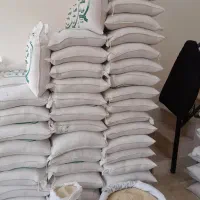 انواع برنج خوشپخت عطری ومحلی شمال