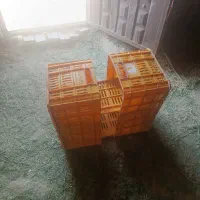 جعبه