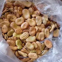 باقله|خوردنی و آشامیدنی|رامهرمز, |دیوار