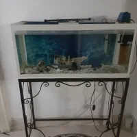 اکواریوم ماهی