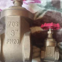 فروش دو عدد شیر برنجی سیتکو چینی اصلی