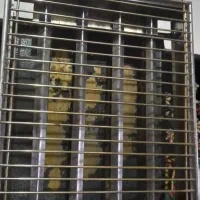 سرشعله کباب پز