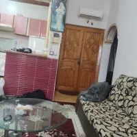 همخانه،همخونه
