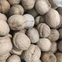 نیازمند شاگرد