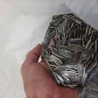 تخمه آفتاب گردان برای پرنده