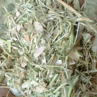 فروشه علوف 50عدد