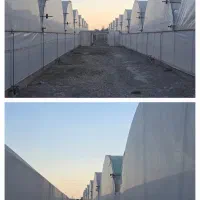 شراکت در۱۲هزار متر گلخانه