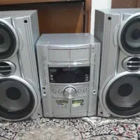 ظبط و باند خانگی