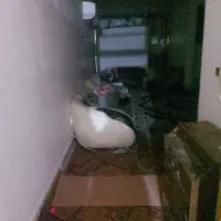 رهن کامل