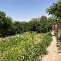 فروش-باغ