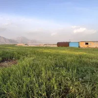 زمین-کشاورزی-صنعتی-دوکله-بر-اصلی-دوستوند-دولت-آباد
