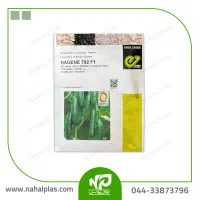 نشا خیار ناگن گلخانه ای