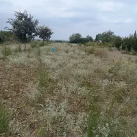 460متر-زمین-مناسب-برای-ساخت-کلاسنگیان