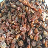 فروش کشمش آفتابی