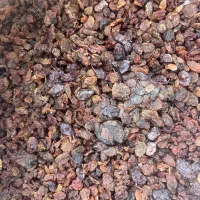 انواع کشمش آبگیری پاک شده