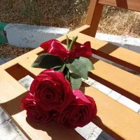 بخرین دعام کن ۱۰۰ تومن با تزئین